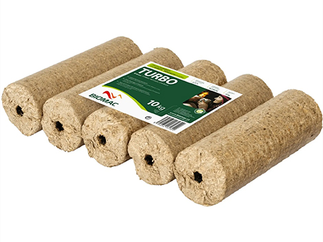 klády dřeva v lese